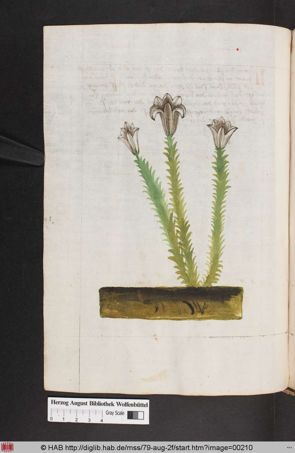 http://diglib.hab.de/mss/79-aug-2f/00210.jpg