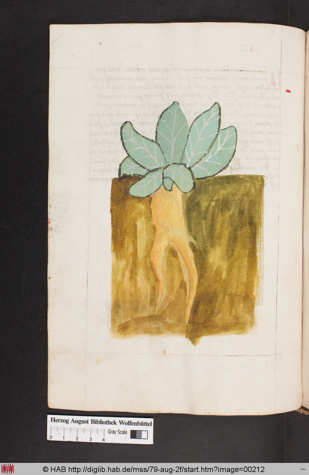 http://diglib.hab.de/mss/79-aug-2f/00212.jpg
