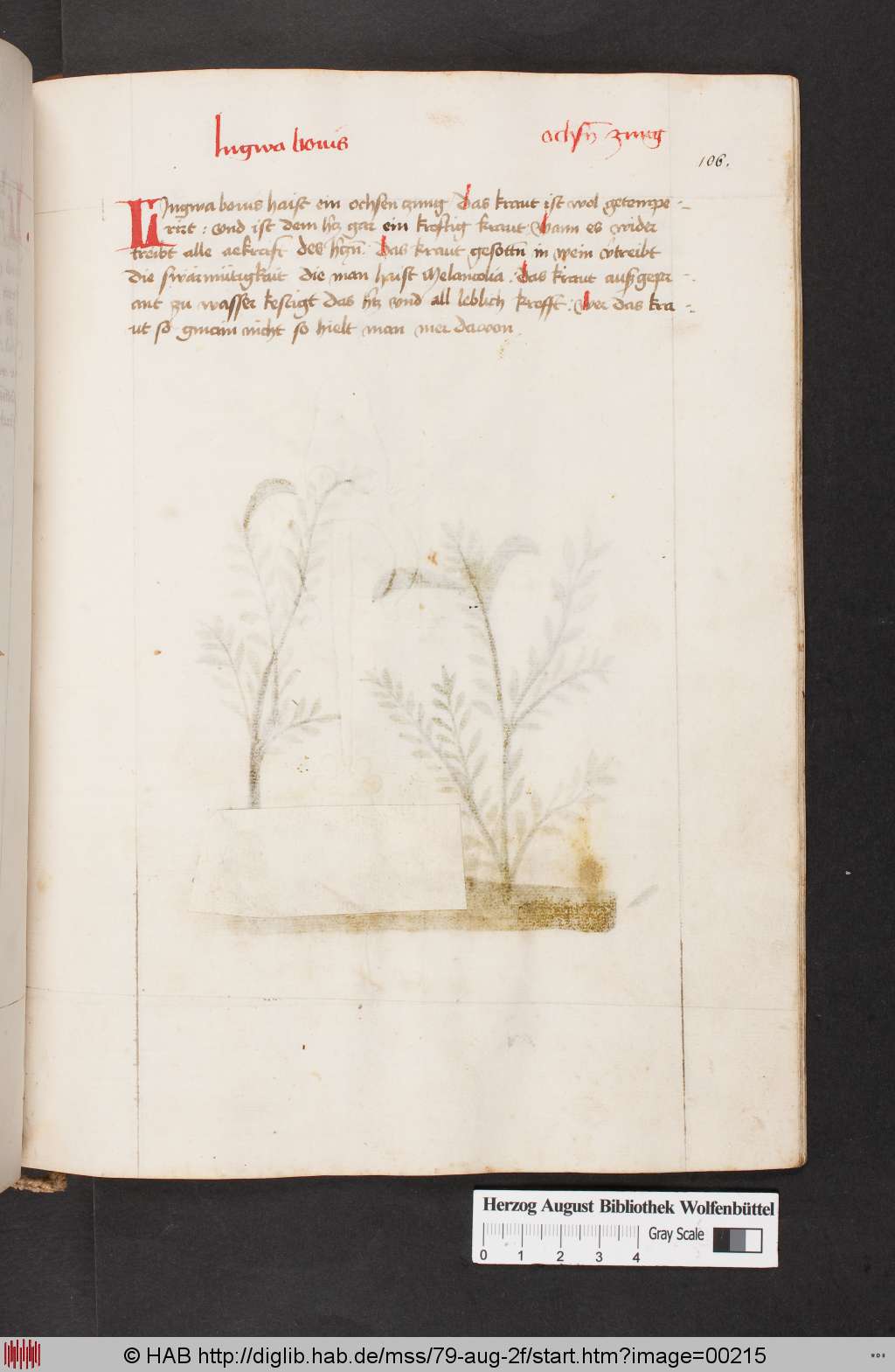 http://diglib.hab.de/mss/79-aug-2f/00215.jpg