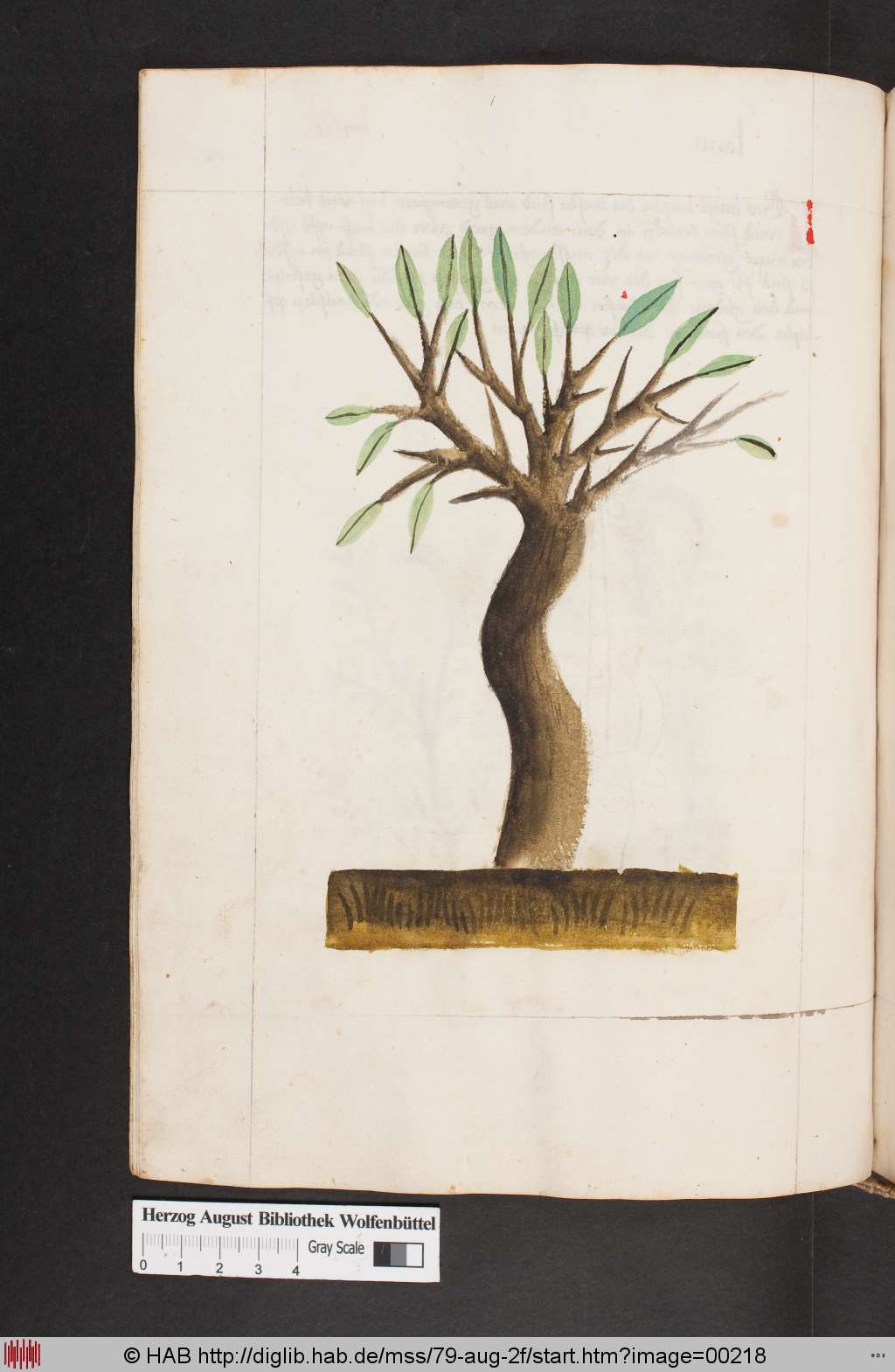 http://diglib.hab.de/mss/79-aug-2f/00218.jpg