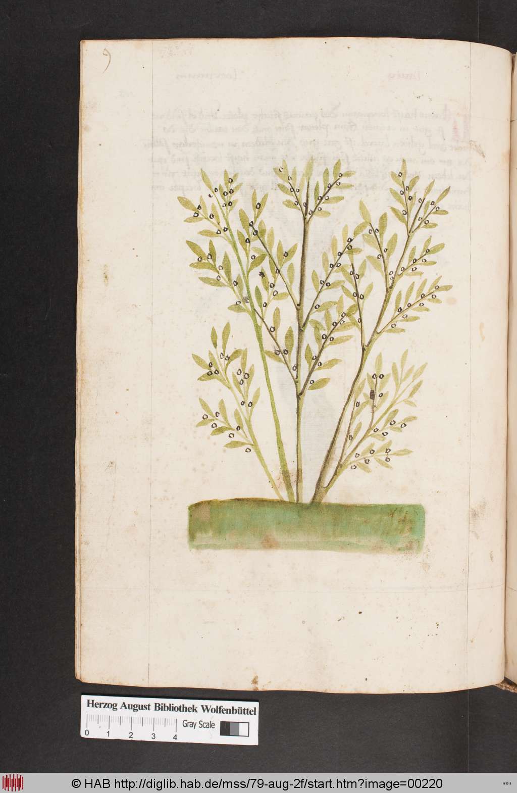 http://diglib.hab.de/mss/79-aug-2f/00220.jpg