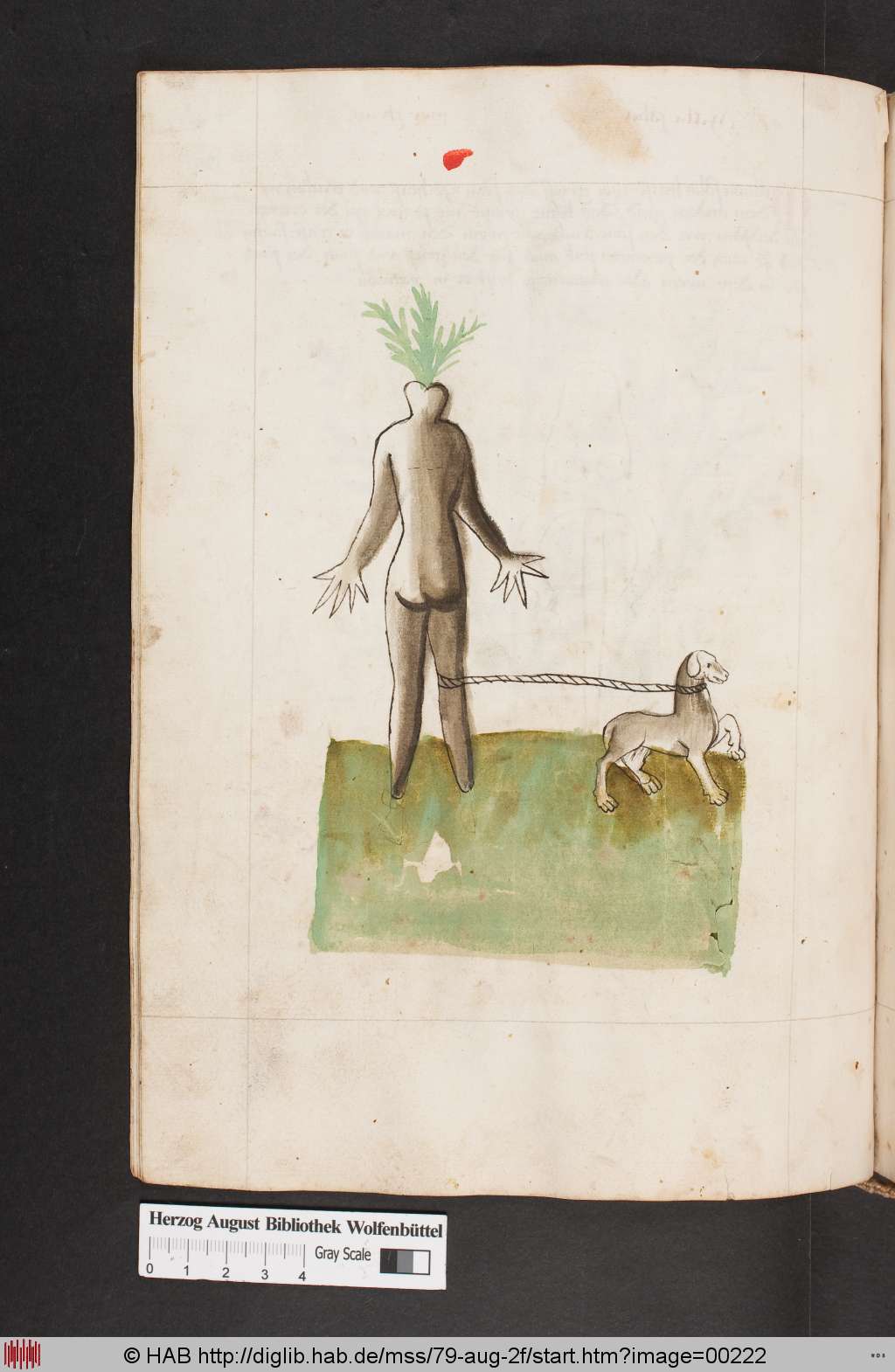 http://diglib.hab.de/mss/79-aug-2f/00222.jpg