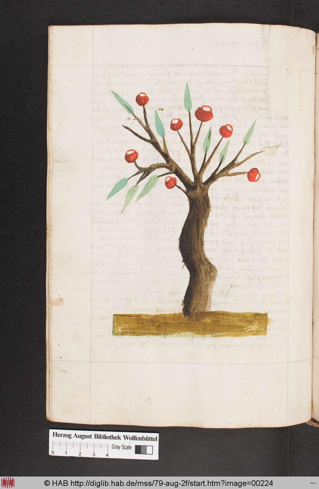 http://diglib.hab.de/mss/79-aug-2f/00224.jpg