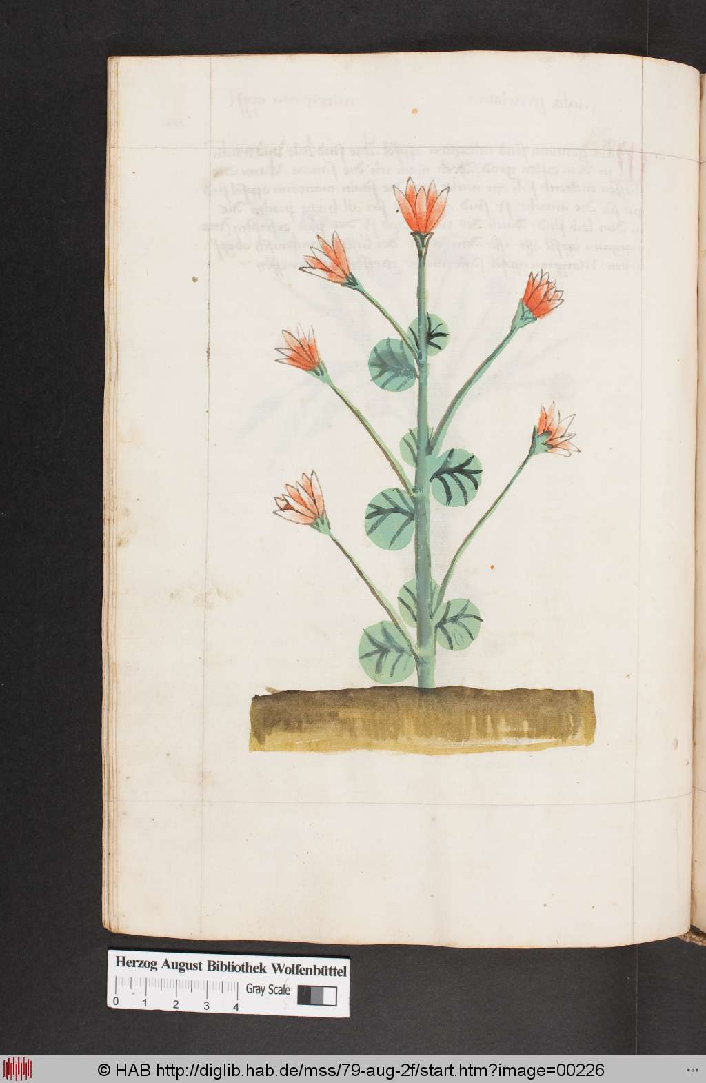 http://diglib.hab.de/mss/79-aug-2f/00226.jpg