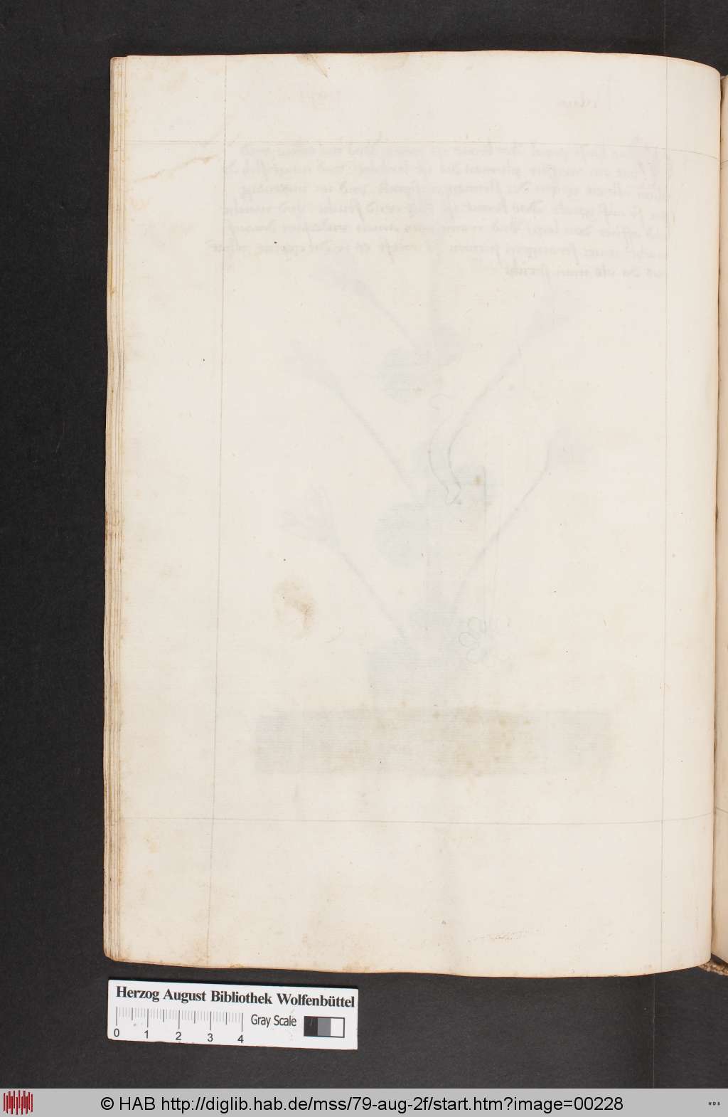 http://diglib.hab.de/mss/79-aug-2f/00228.jpg