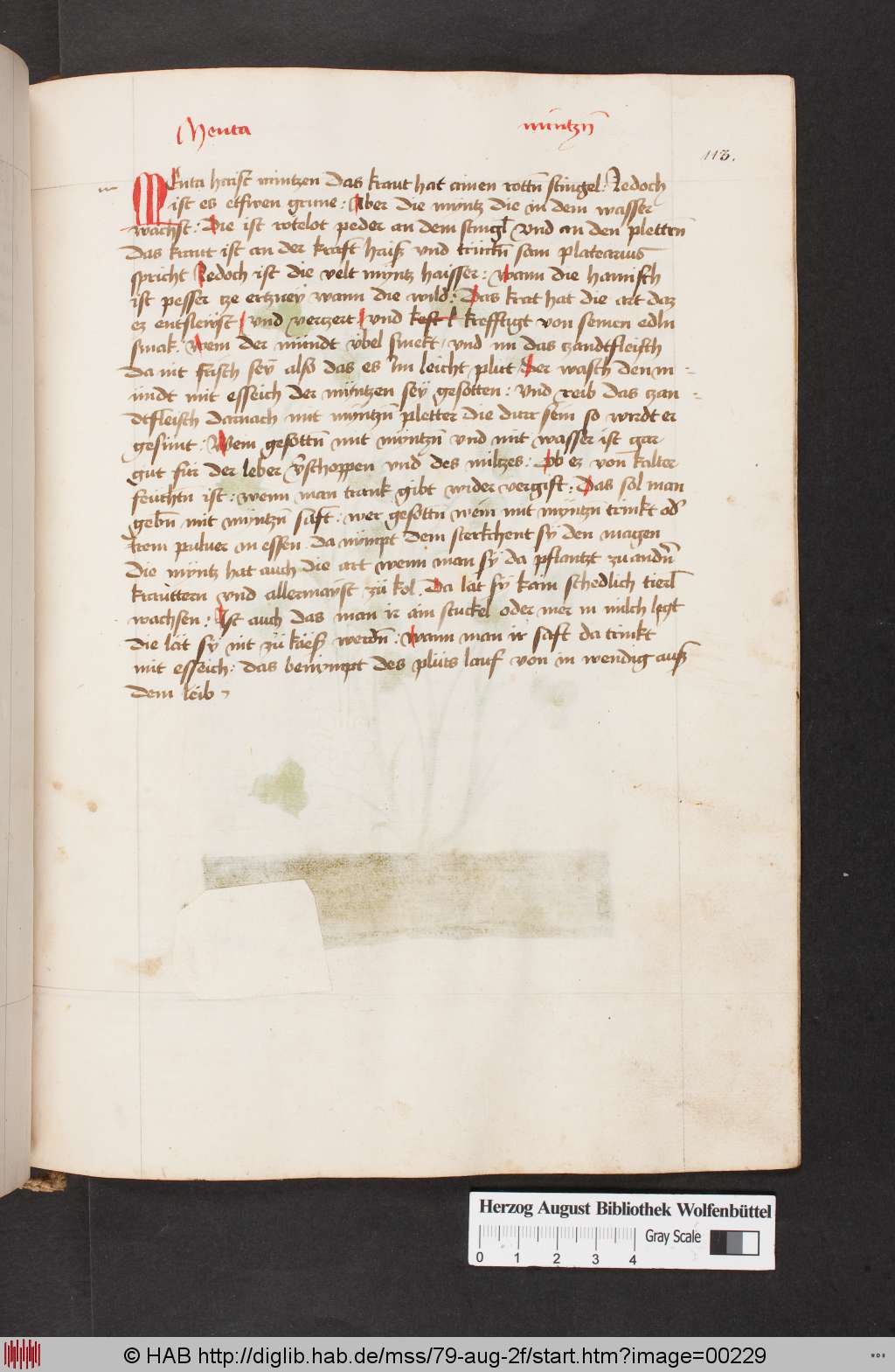 http://diglib.hab.de/mss/79-aug-2f/00229.jpg