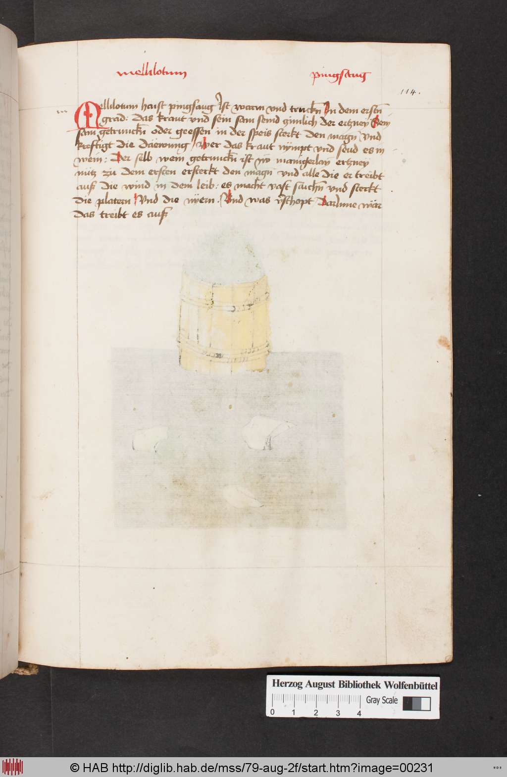 http://diglib.hab.de/mss/79-aug-2f/00231.jpg