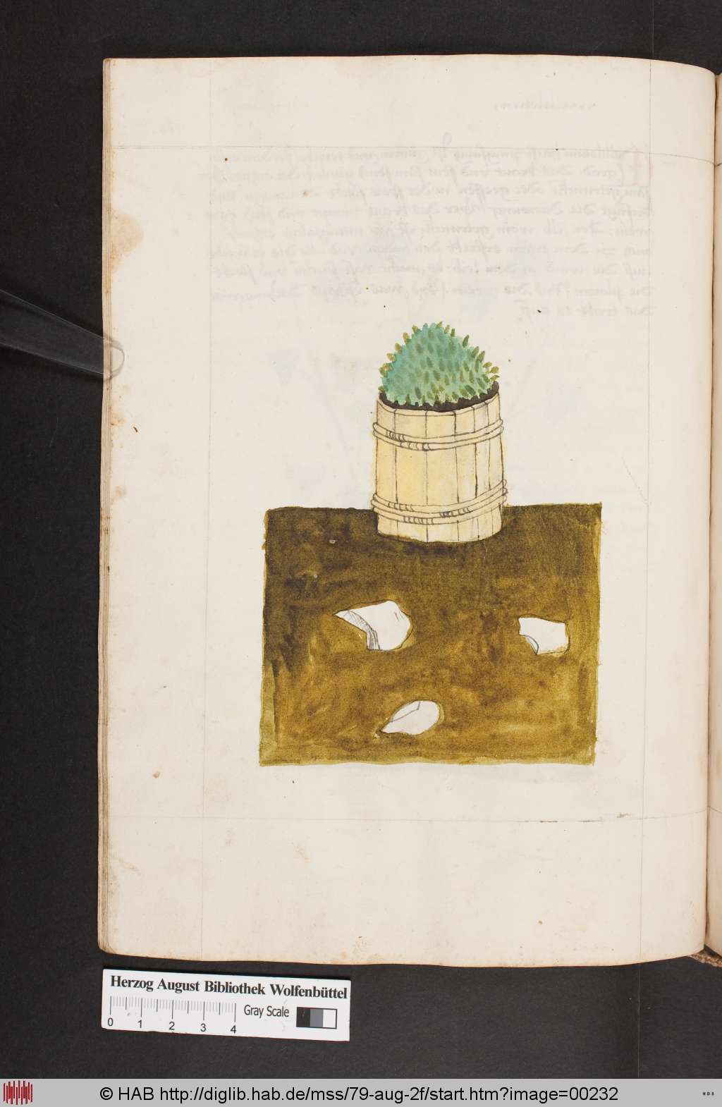 http://diglib.hab.de/mss/79-aug-2f/00232.jpg