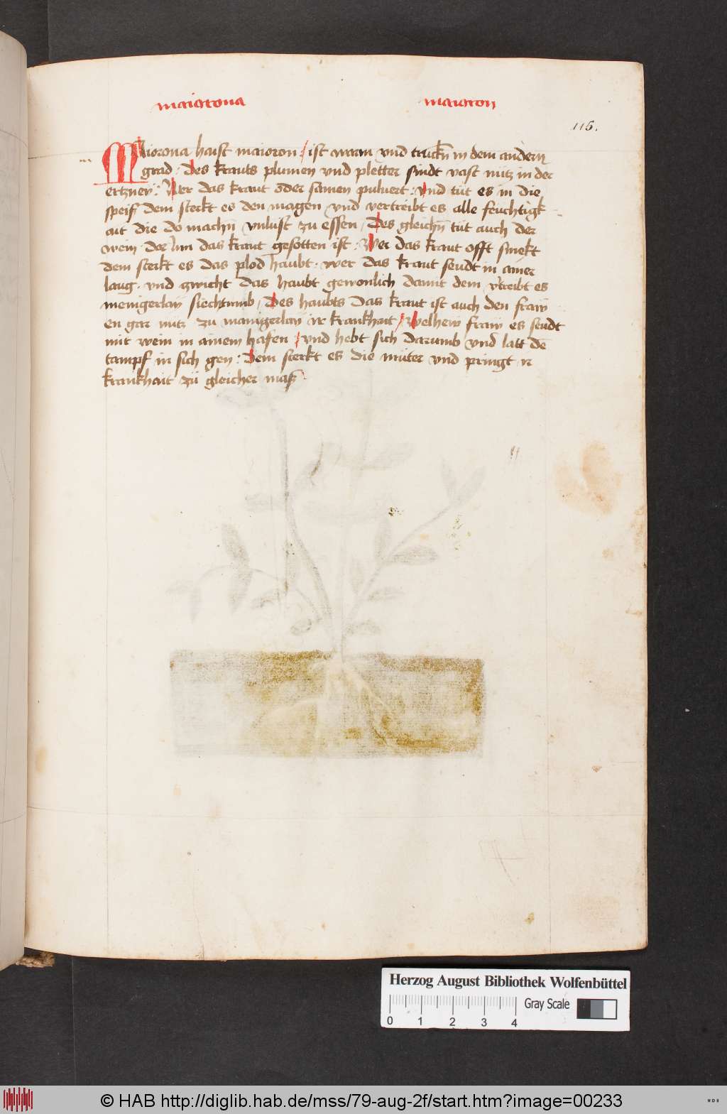 http://diglib.hab.de/mss/79-aug-2f/00233.jpg