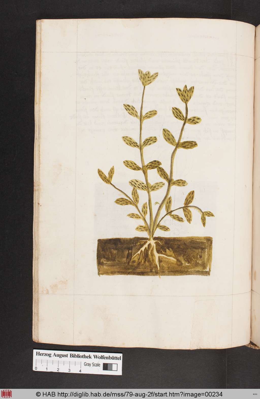 http://diglib.hab.de/mss/79-aug-2f/00234.jpg