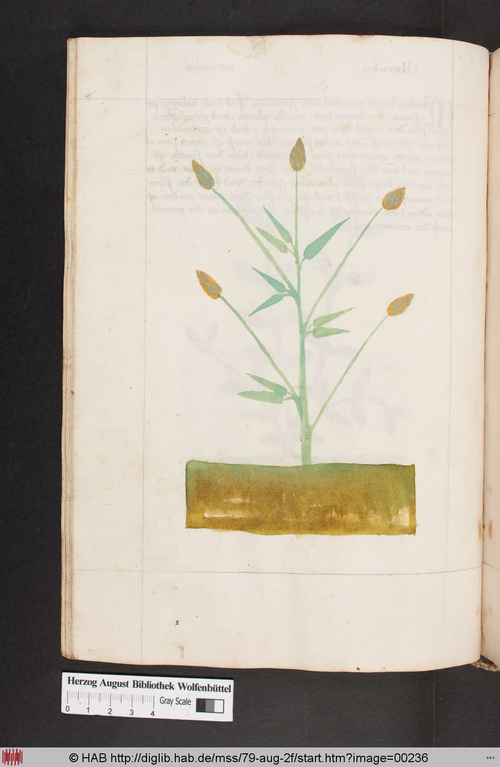 http://diglib.hab.de/mss/79-aug-2f/00236.jpg