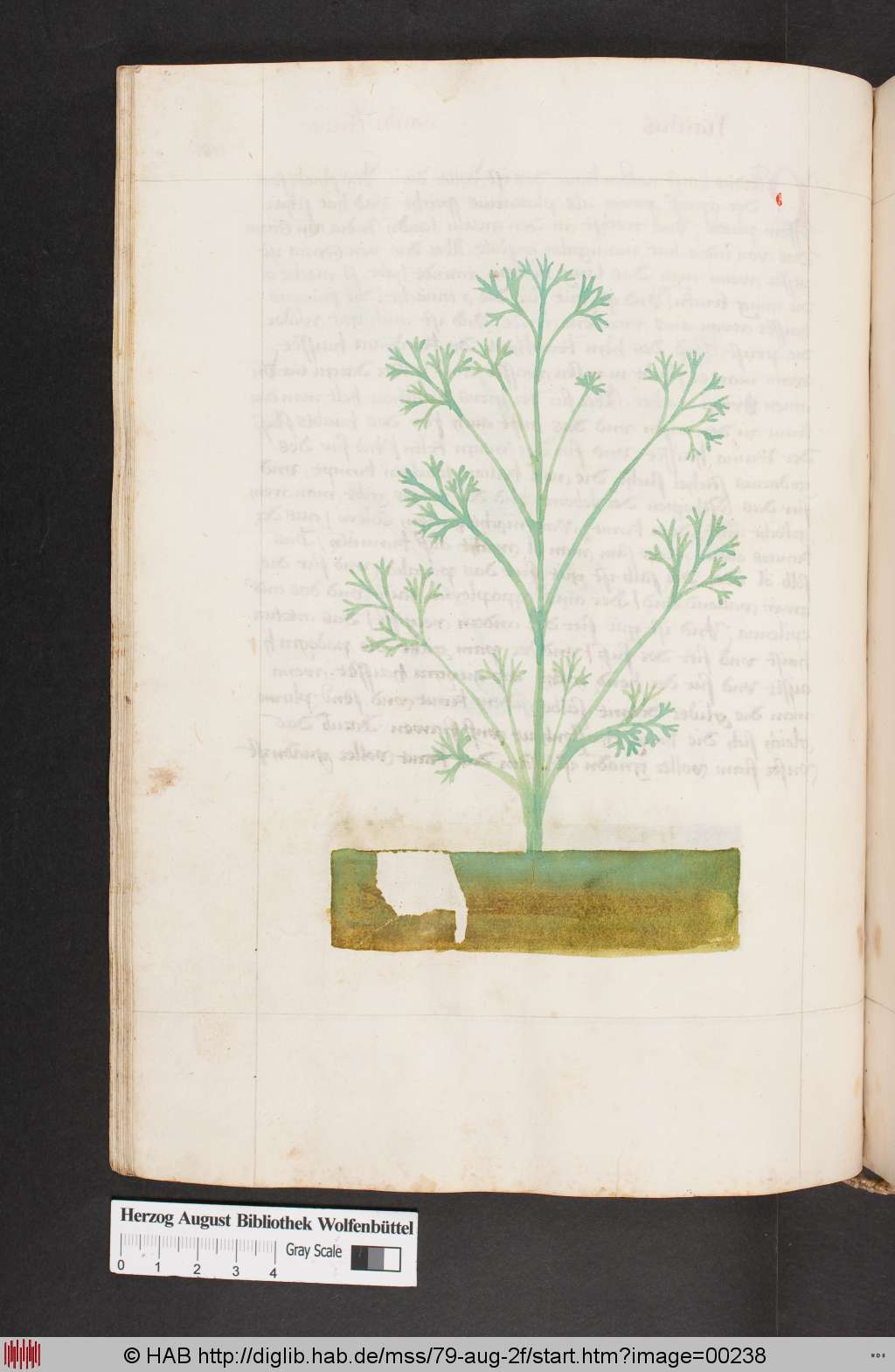 http://diglib.hab.de/mss/79-aug-2f/00238.jpg