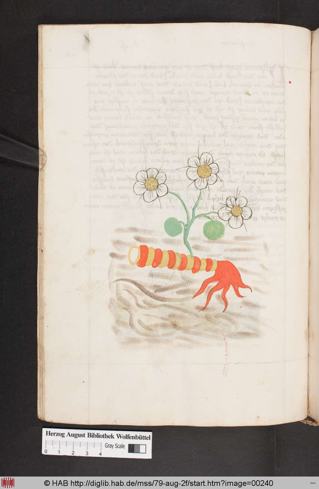 http://diglib.hab.de/mss/79-aug-2f/00240.jpg