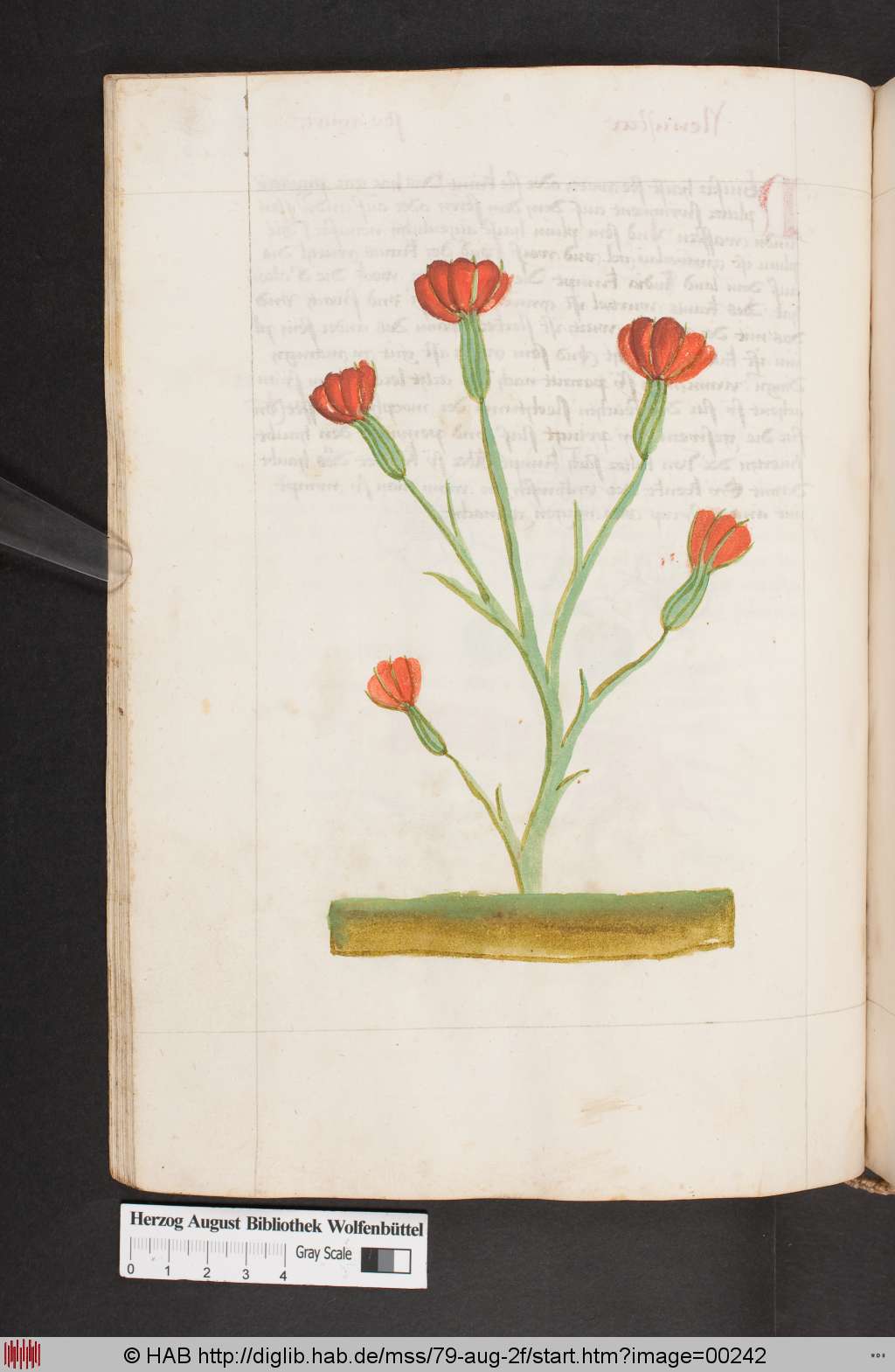 http://diglib.hab.de/mss/79-aug-2f/00242.jpg