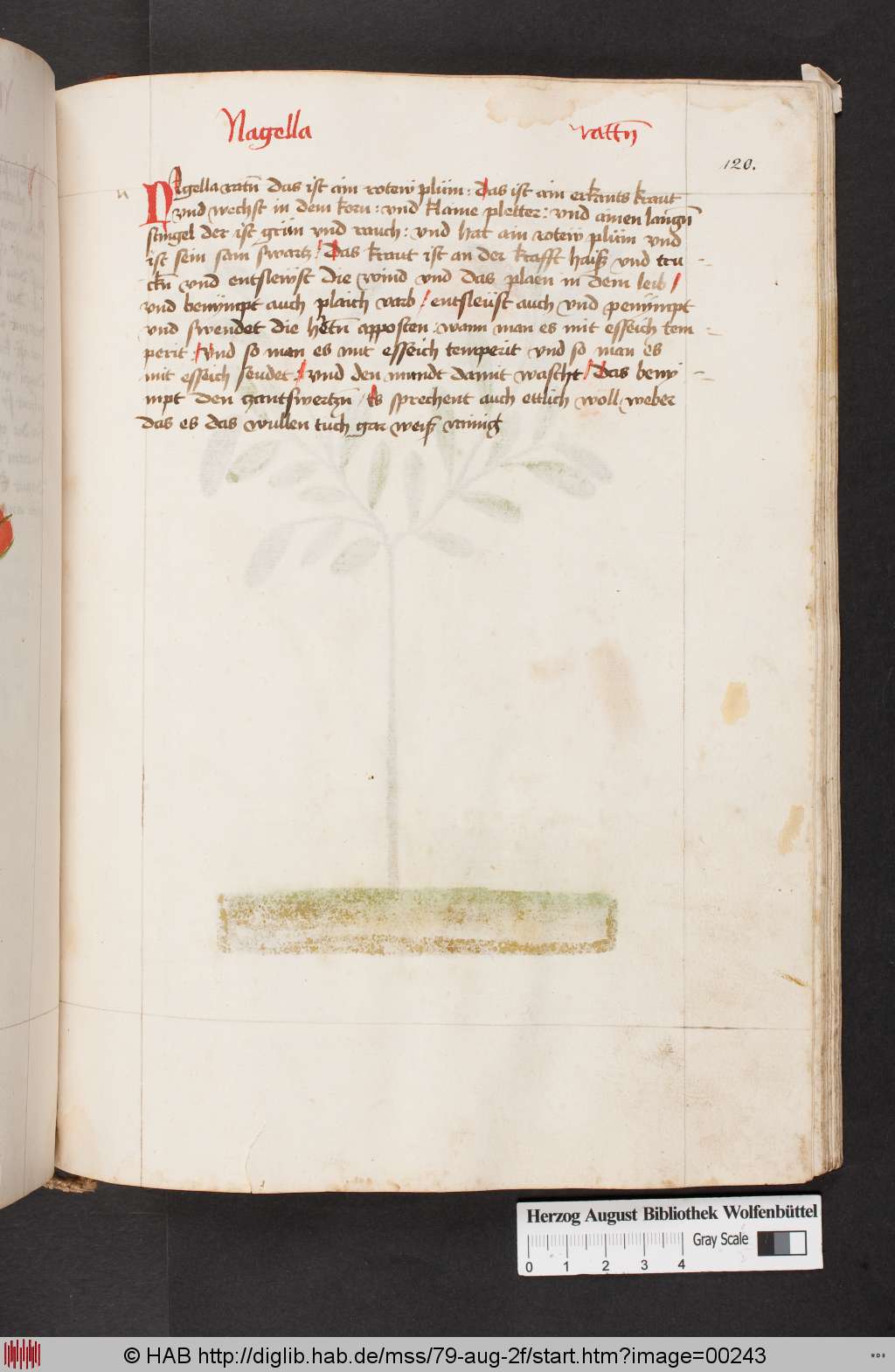 http://diglib.hab.de/mss/79-aug-2f/00243.jpg