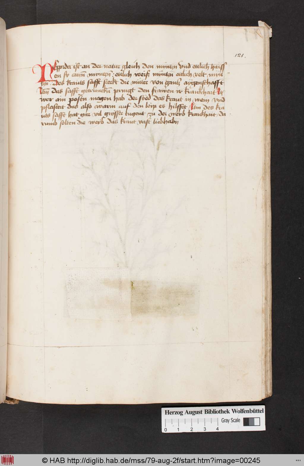 http://diglib.hab.de/mss/79-aug-2f/00245.jpg