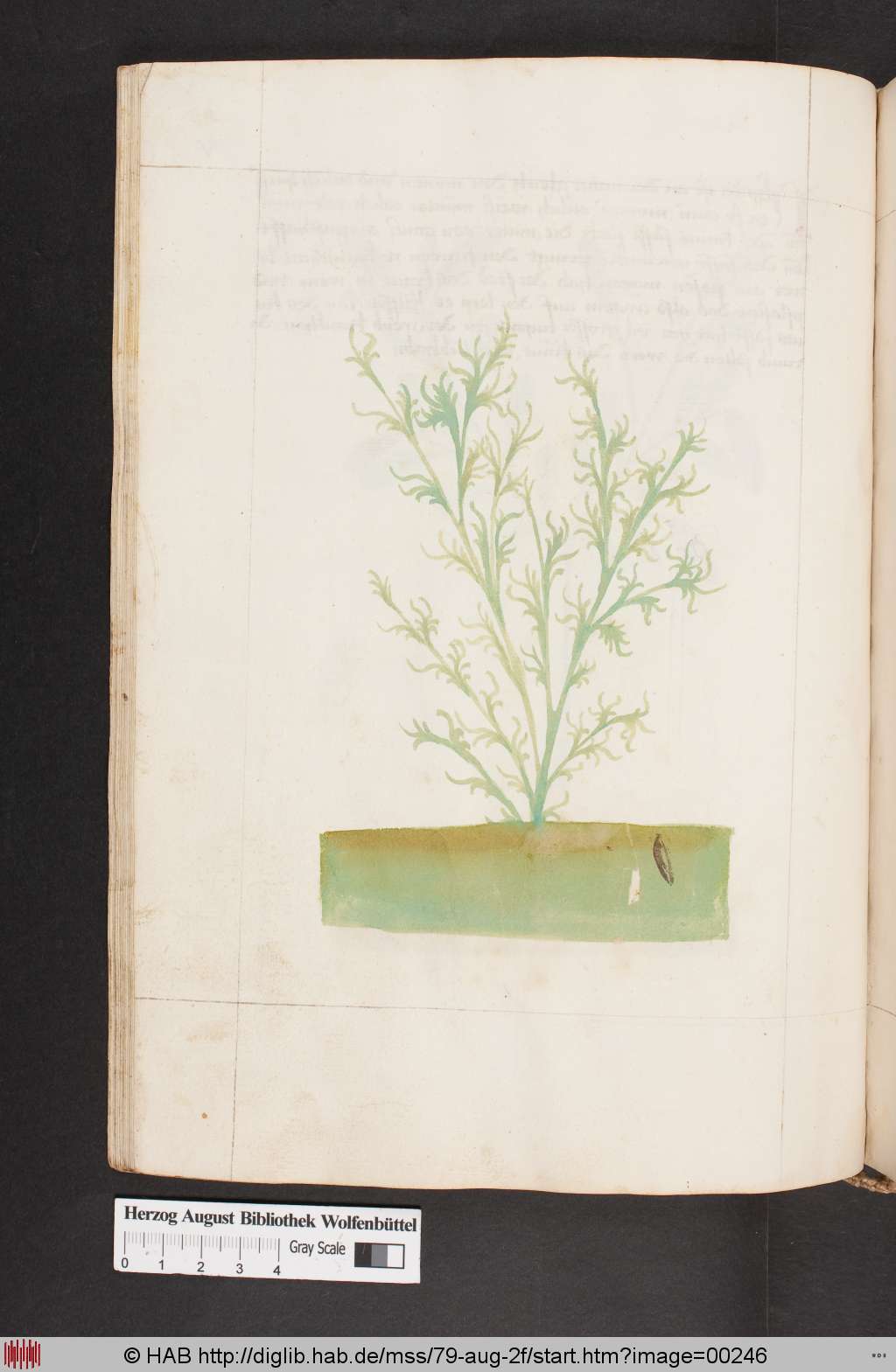 http://diglib.hab.de/mss/79-aug-2f/00246.jpg