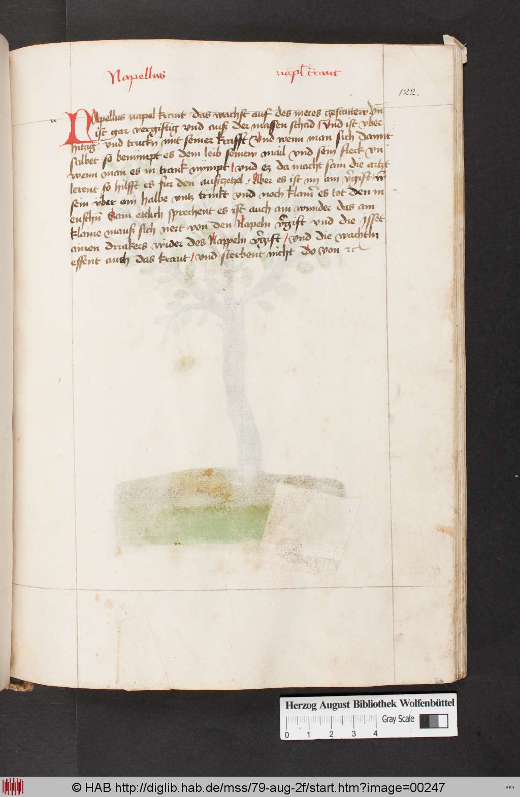 http://diglib.hab.de/mss/79-aug-2f/00247.jpg