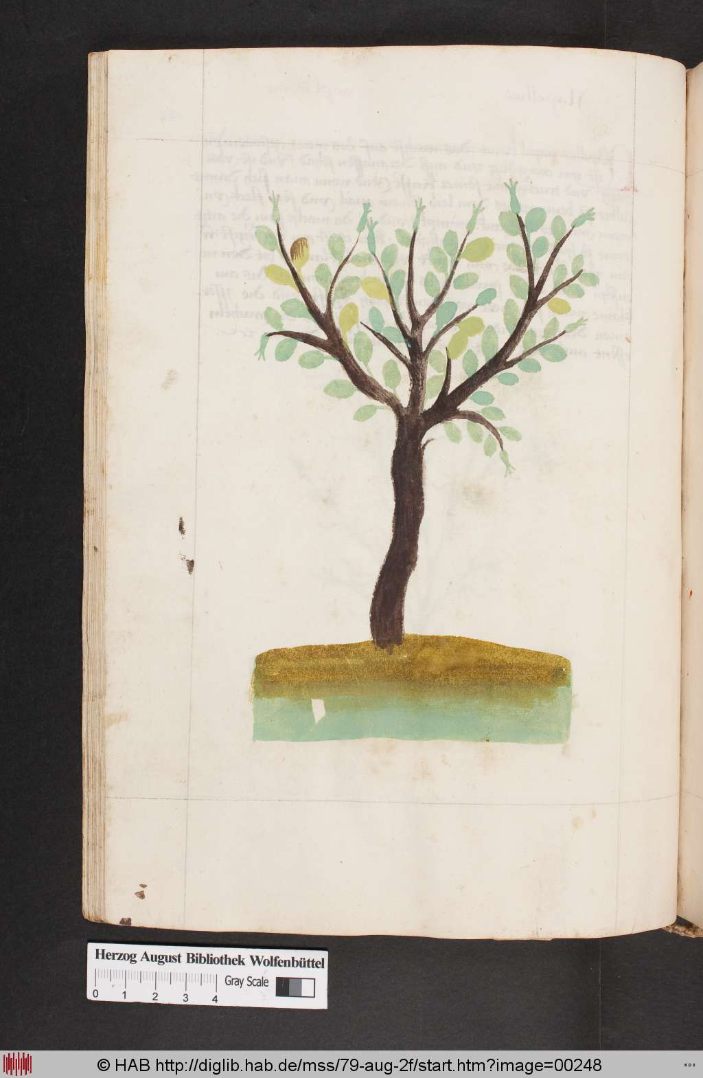 http://diglib.hab.de/mss/79-aug-2f/00248.jpg