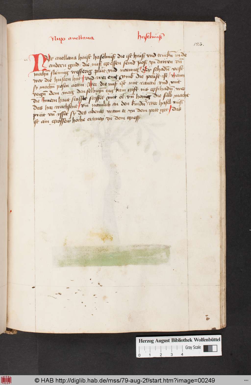 http://diglib.hab.de/mss/79-aug-2f/00249.jpg