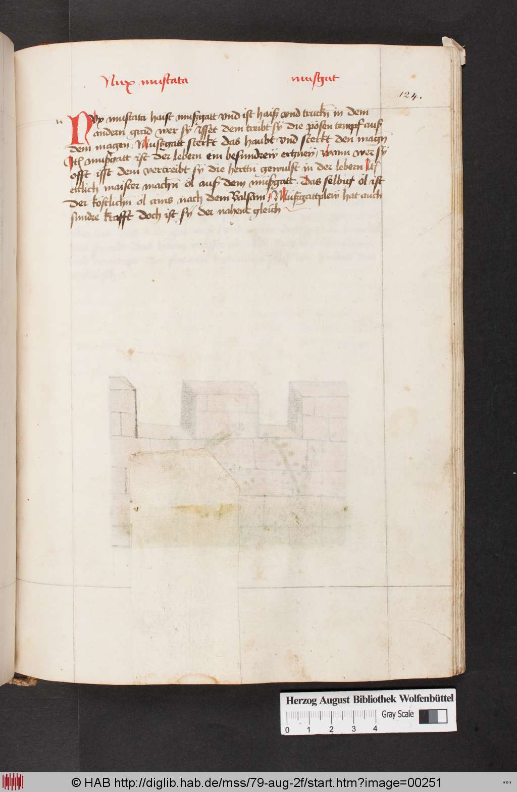 http://diglib.hab.de/mss/79-aug-2f/00251.jpg