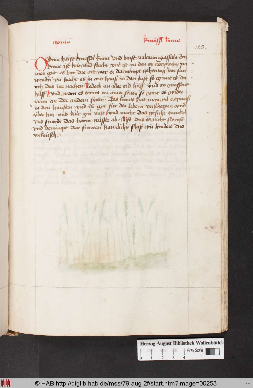http://diglib.hab.de/mss/79-aug-2f/00253.jpg