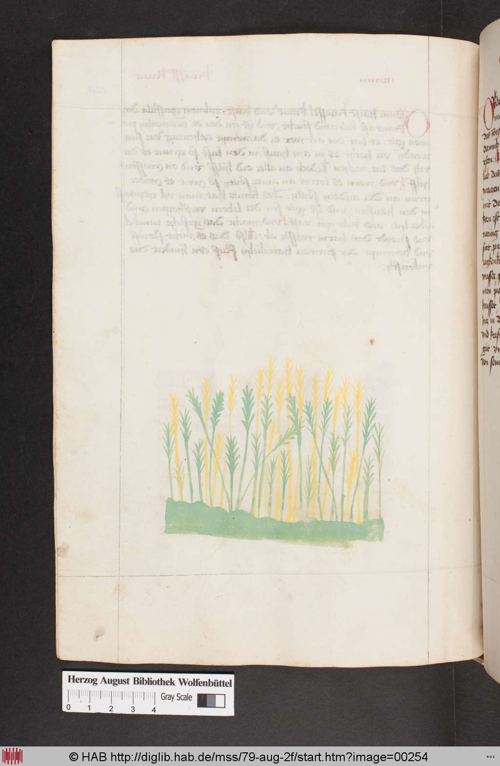 http://diglib.hab.de/mss/79-aug-2f/00254.jpg