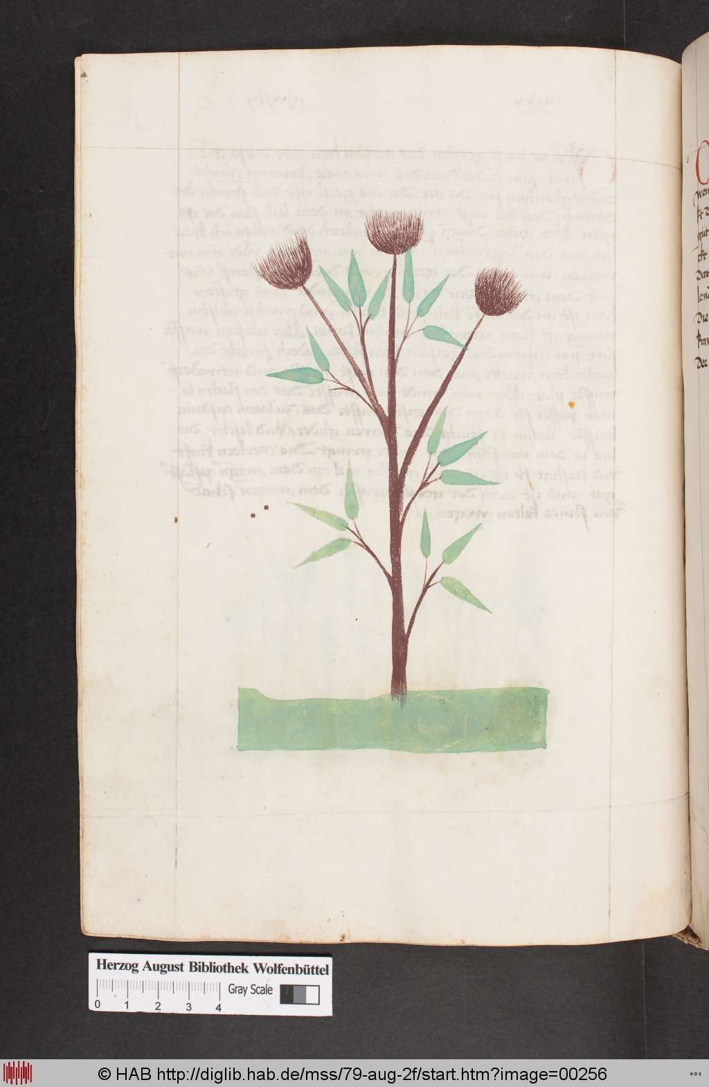 http://diglib.hab.de/mss/79-aug-2f/00256.jpg