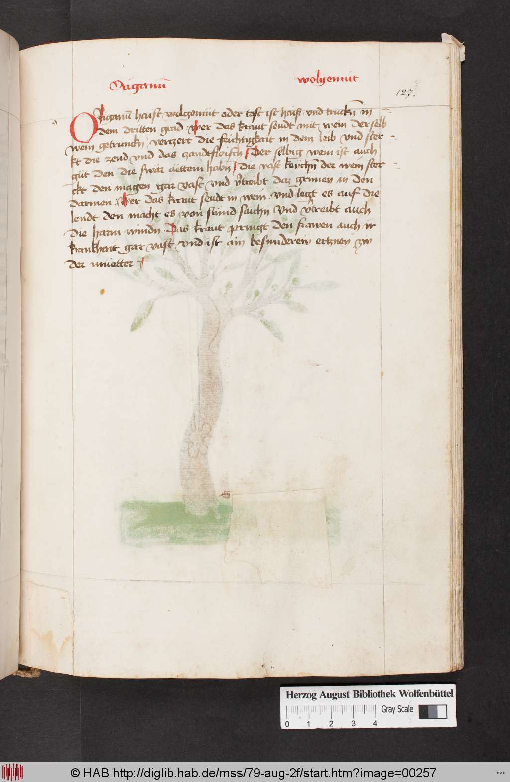http://diglib.hab.de/mss/79-aug-2f/00257.jpg