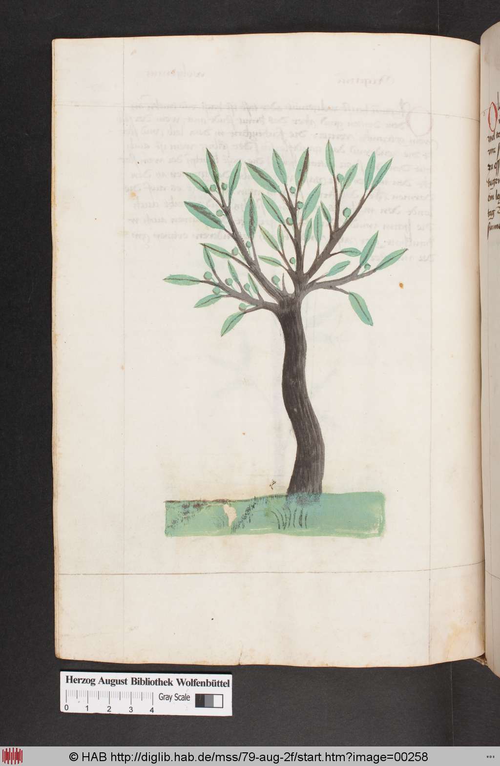 http://diglib.hab.de/mss/79-aug-2f/00258.jpg