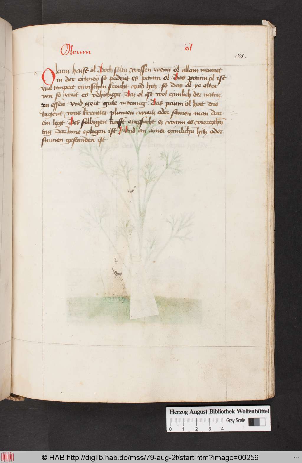 http://diglib.hab.de/mss/79-aug-2f/00259.jpg