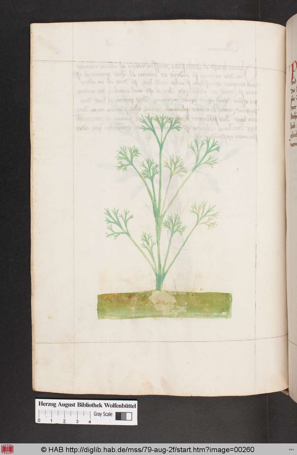 http://diglib.hab.de/mss/79-aug-2f/00260.jpg