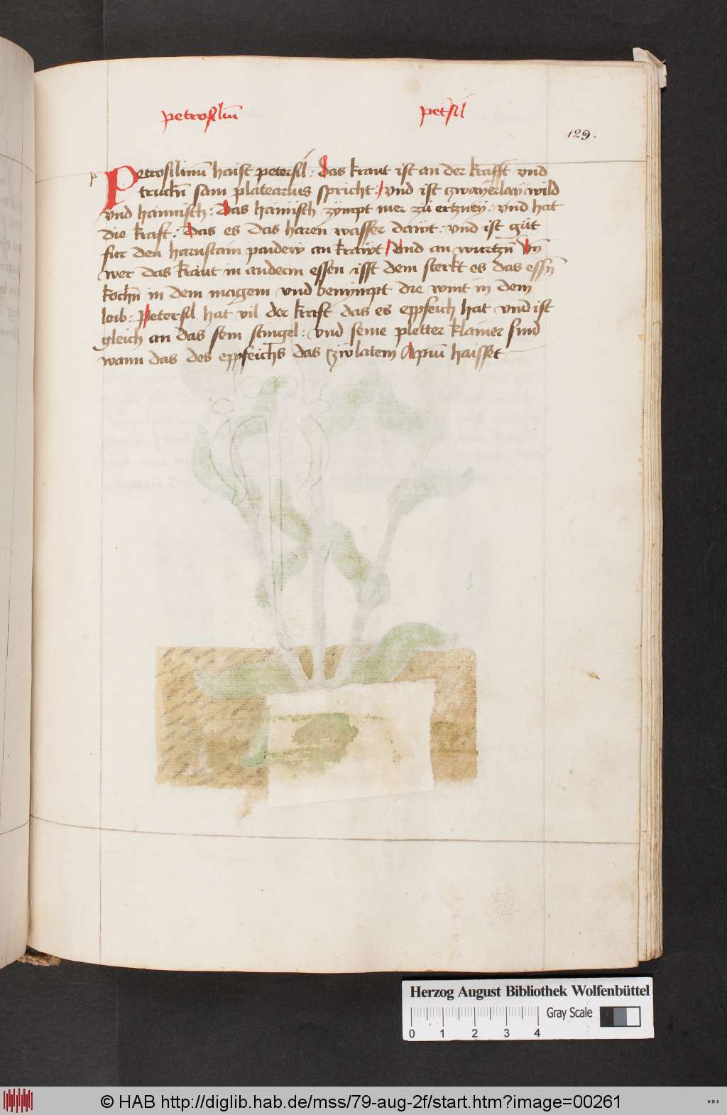 http://diglib.hab.de/mss/79-aug-2f/00261.jpg
