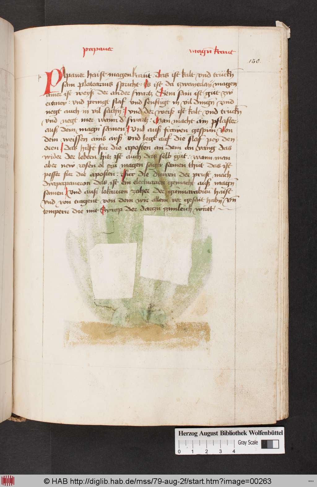 http://diglib.hab.de/mss/79-aug-2f/00263.jpg