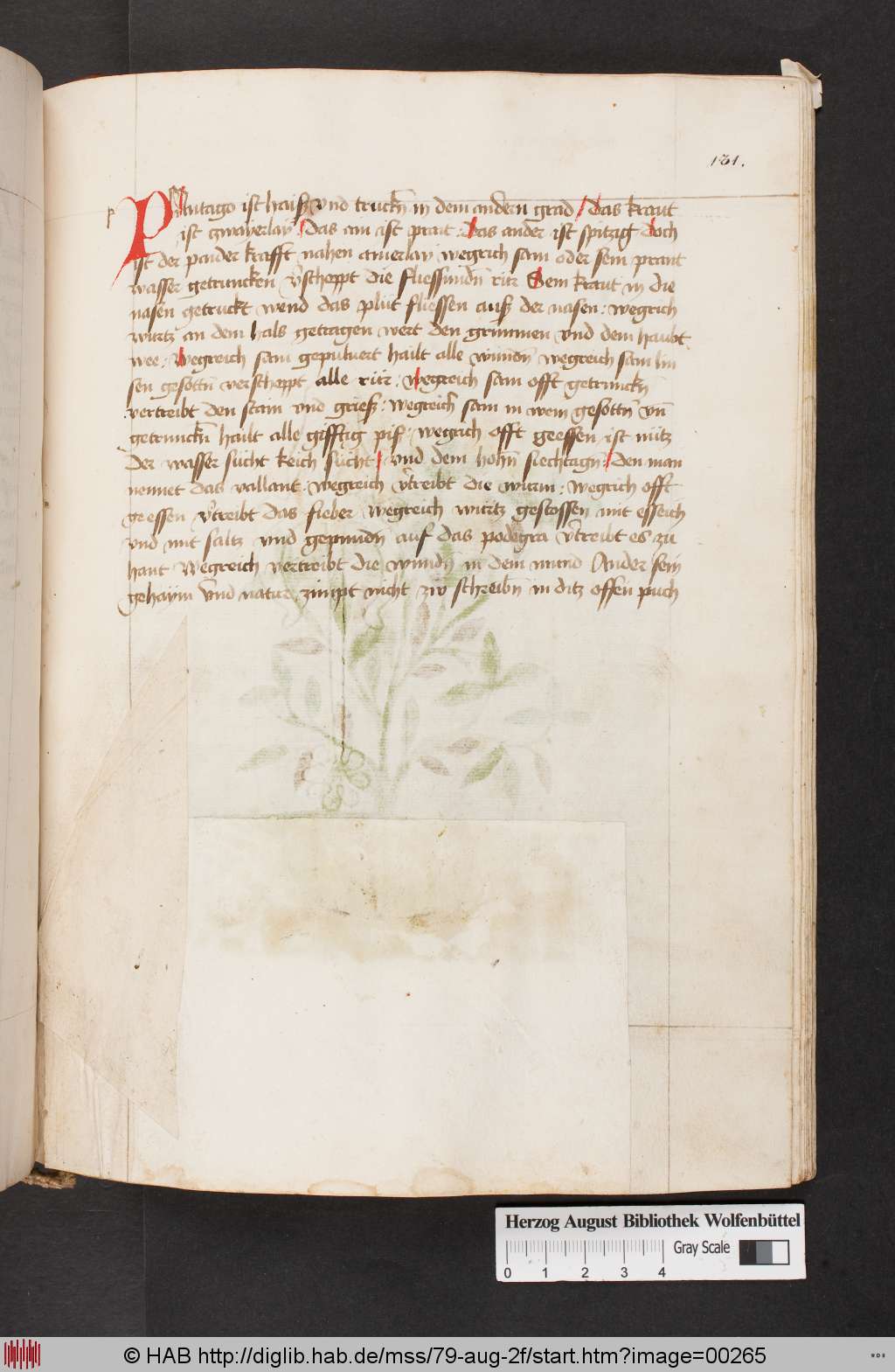 http://diglib.hab.de/mss/79-aug-2f/00265.jpg