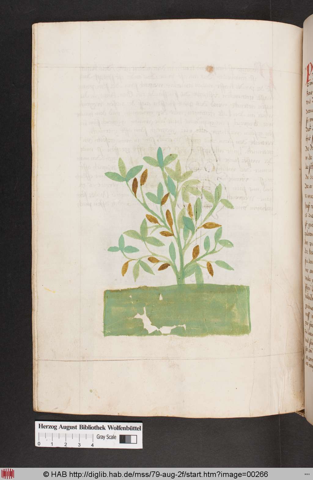 http://diglib.hab.de/mss/79-aug-2f/00266.jpg