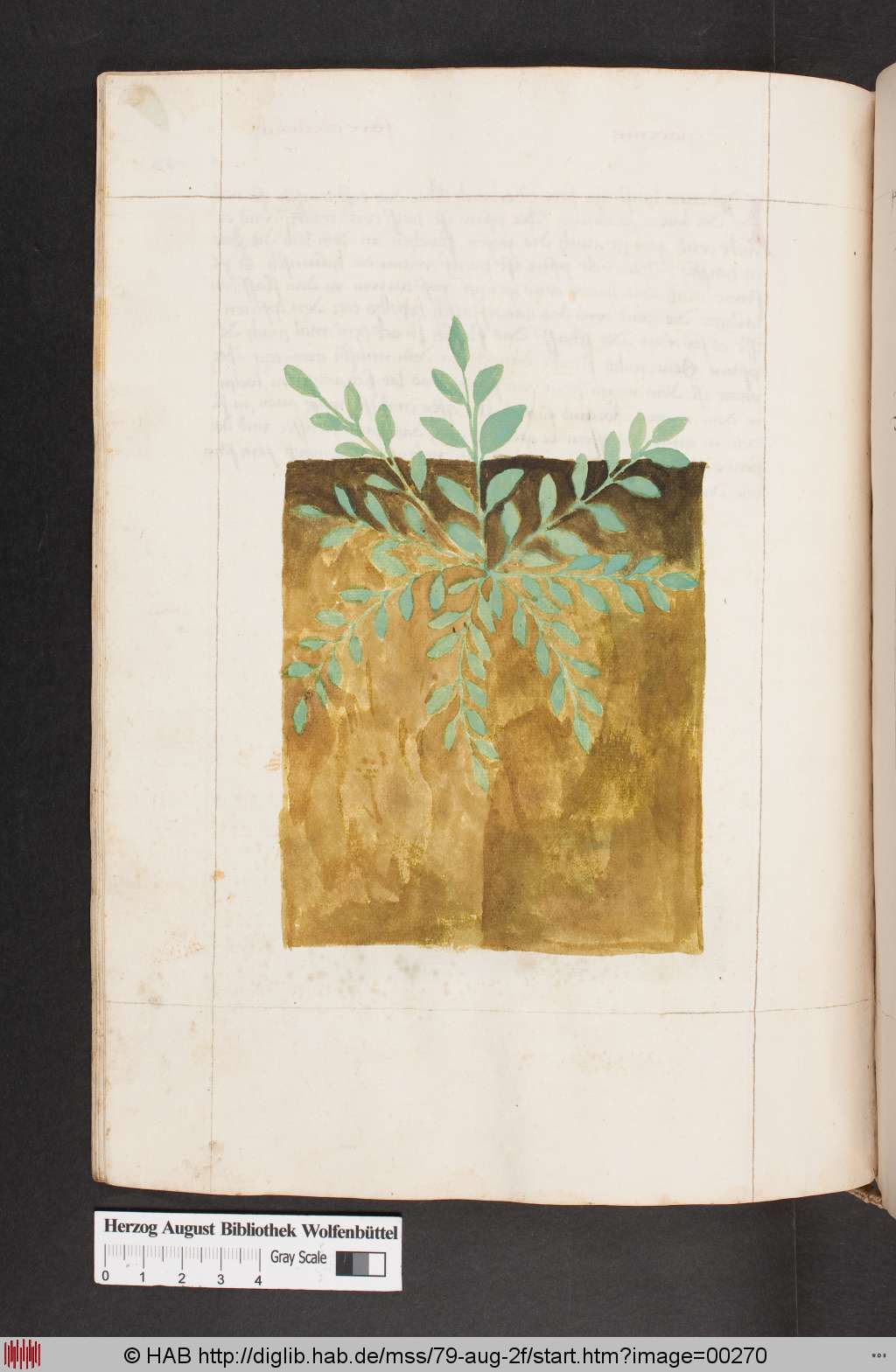 http://diglib.hab.de/mss/79-aug-2f/00270.jpg