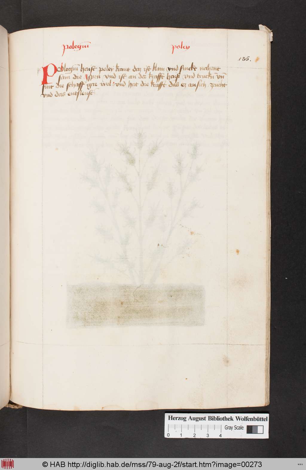 http://diglib.hab.de/mss/79-aug-2f/00273.jpg
