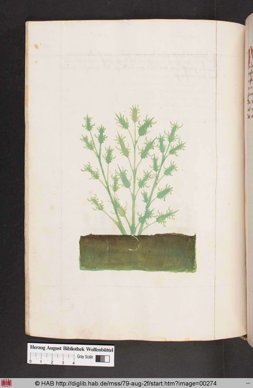 http://diglib.hab.de/mss/79-aug-2f/00274.jpg