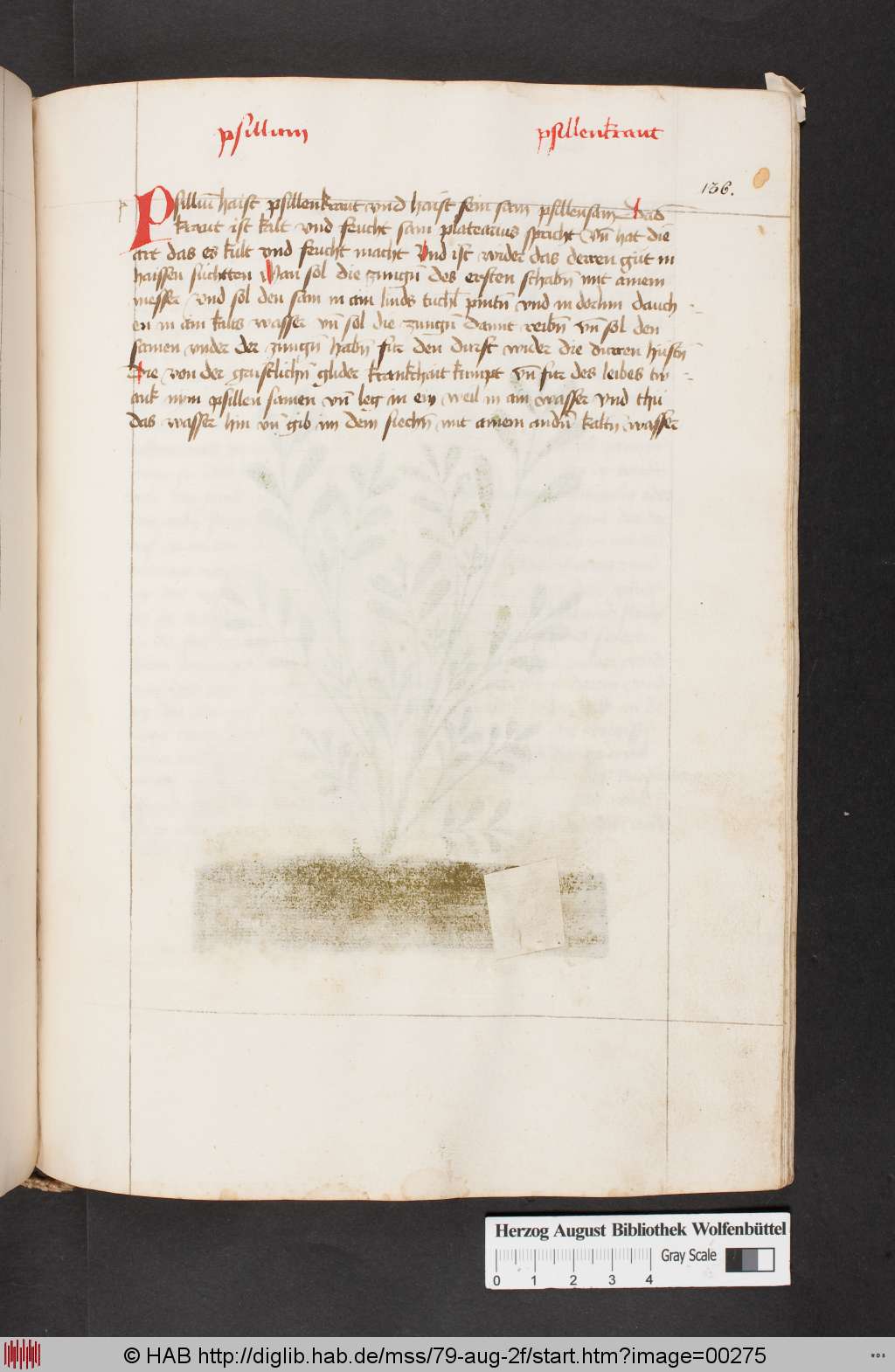 http://diglib.hab.de/mss/79-aug-2f/00275.jpg