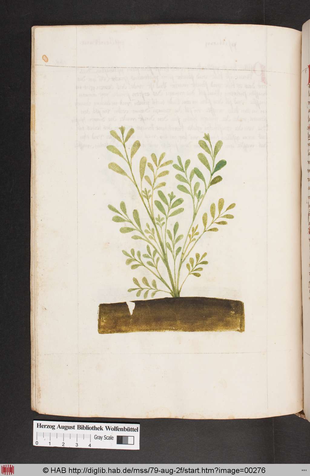 http://diglib.hab.de/mss/79-aug-2f/00276.jpg