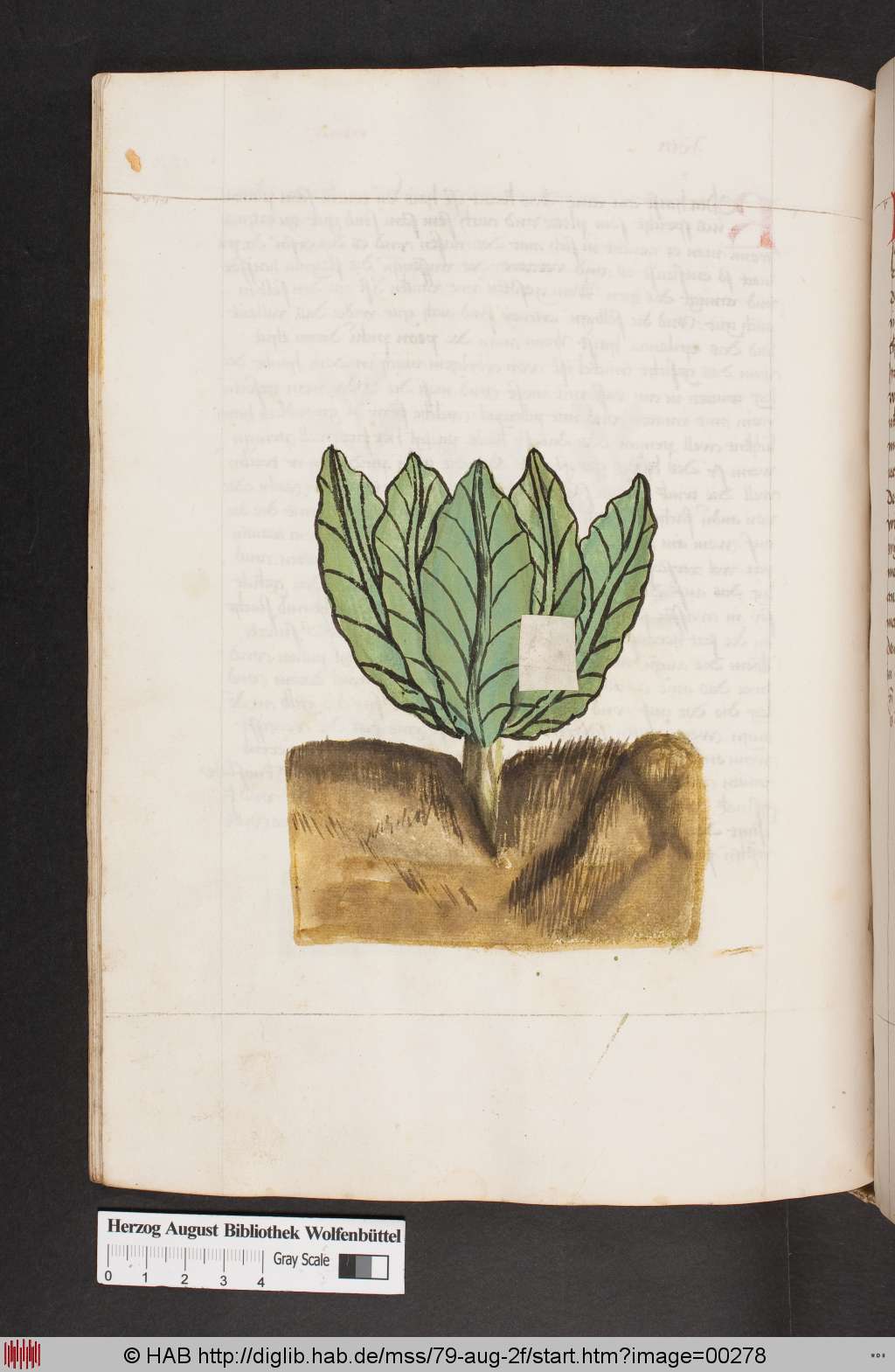 http://diglib.hab.de/mss/79-aug-2f/00278.jpg