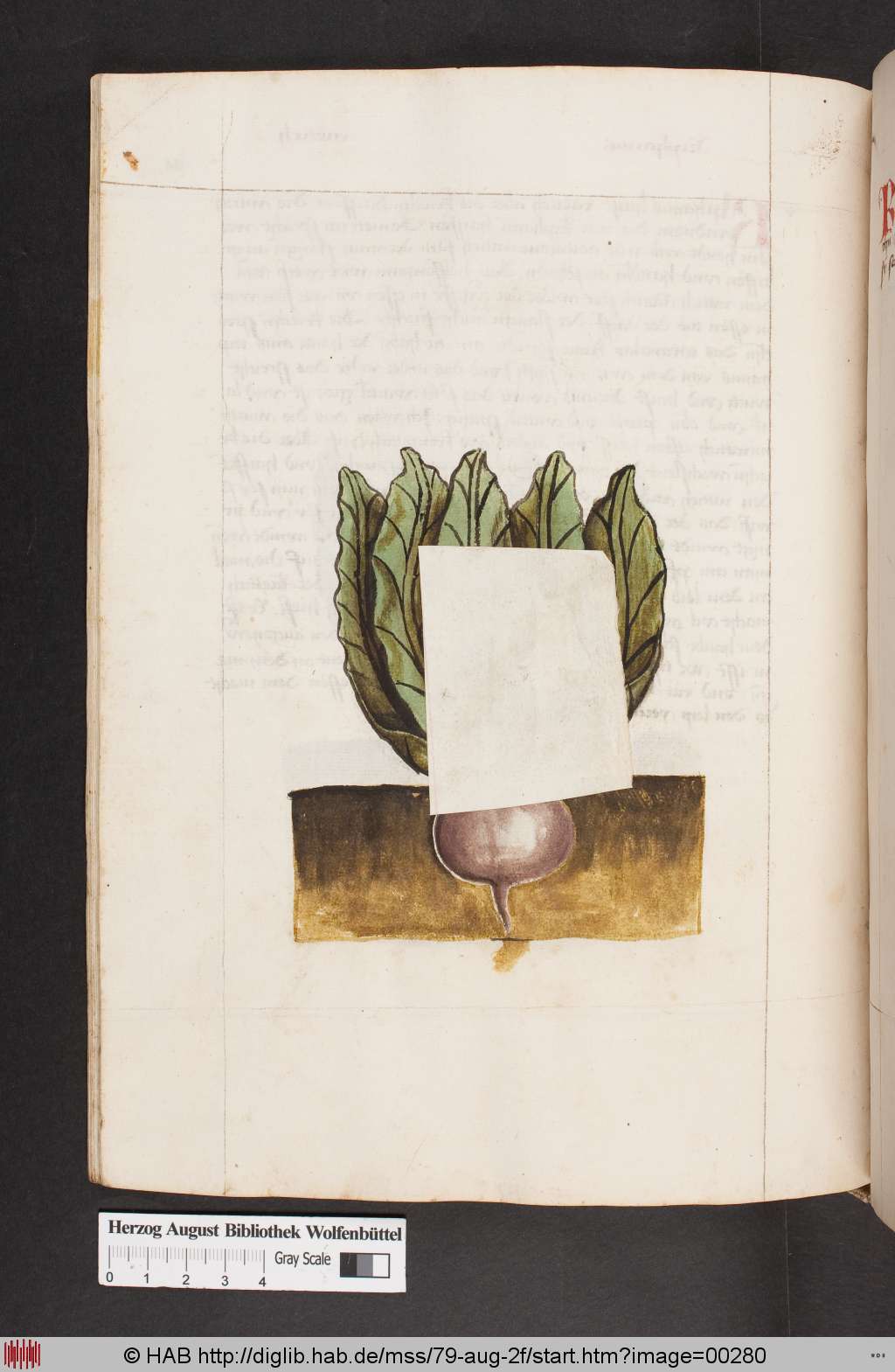 http://diglib.hab.de/mss/79-aug-2f/00280.jpg