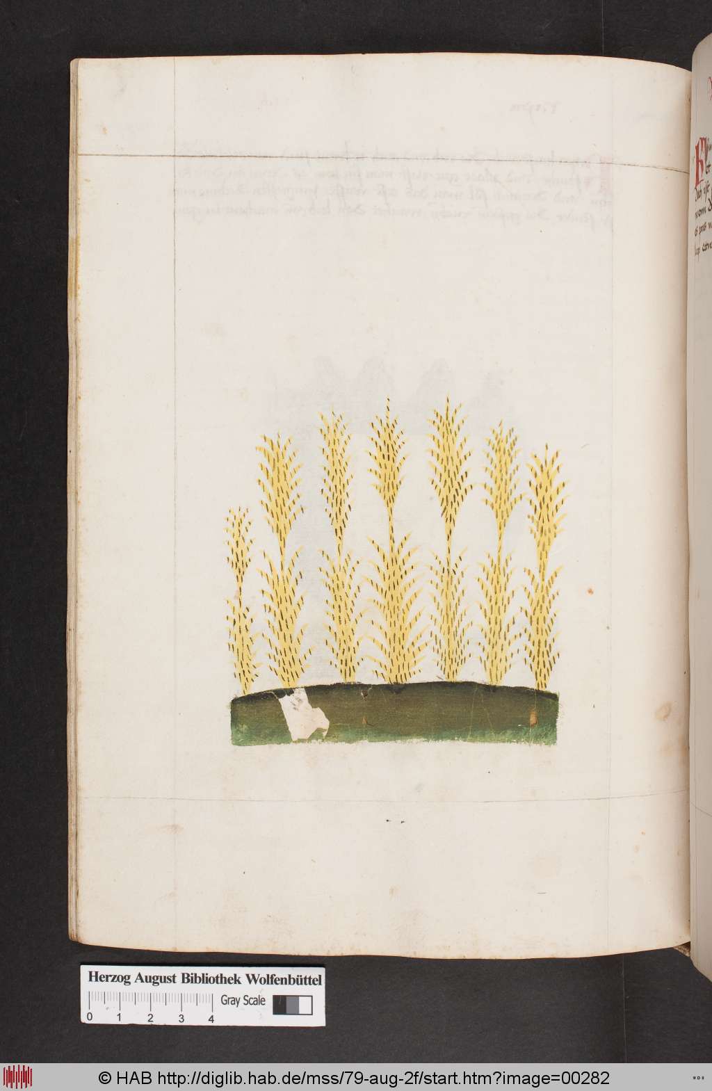 http://diglib.hab.de/mss/79-aug-2f/00282.jpg