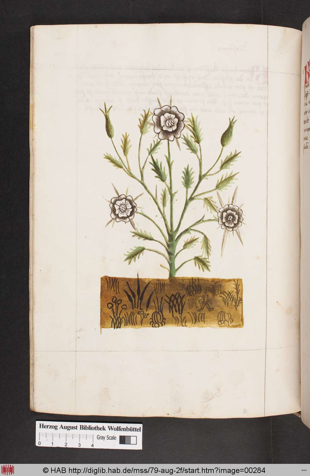 http://diglib.hab.de/mss/79-aug-2f/00284.jpg