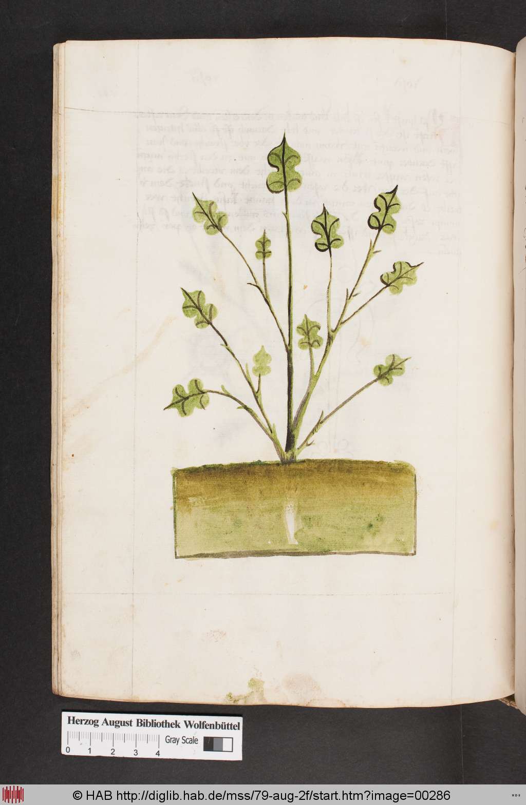 http://diglib.hab.de/mss/79-aug-2f/00286.jpg