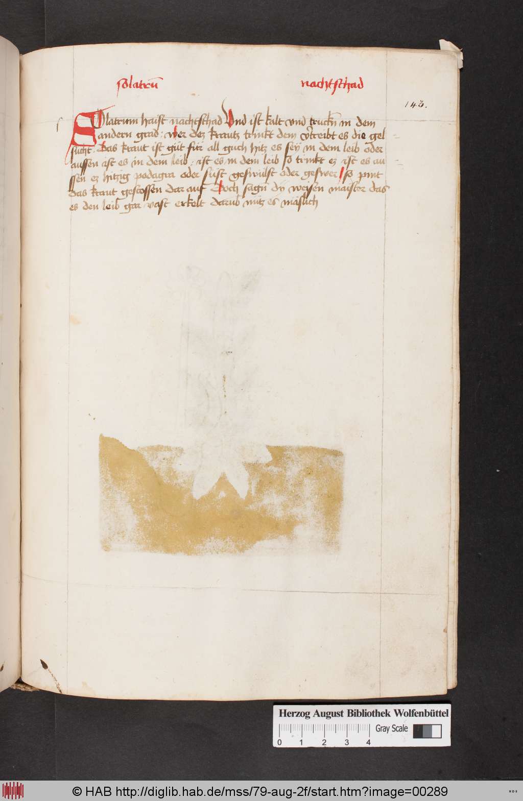 http://diglib.hab.de/mss/79-aug-2f/00289.jpg