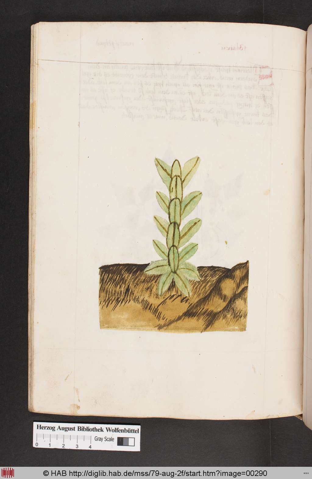 http://diglib.hab.de/mss/79-aug-2f/00290.jpg