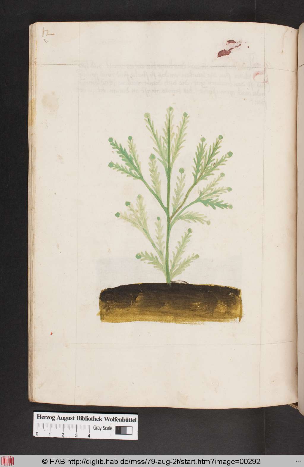 http://diglib.hab.de/mss/79-aug-2f/00292.jpg