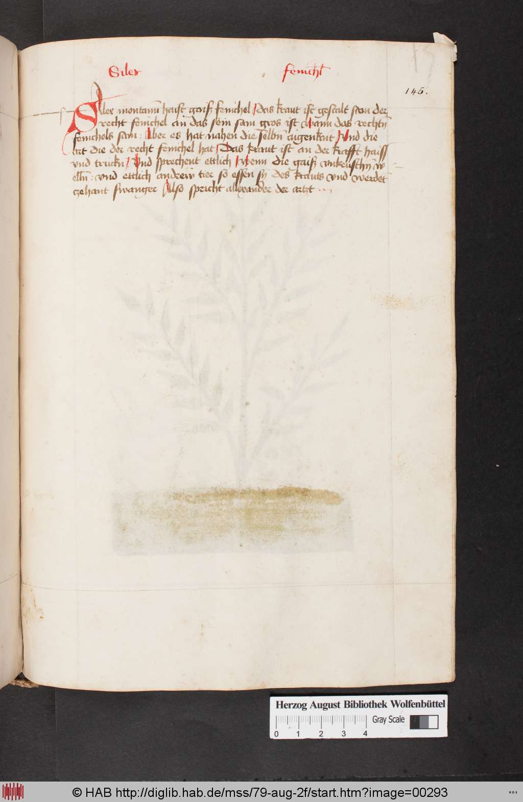 http://diglib.hab.de/mss/79-aug-2f/00293.jpg
